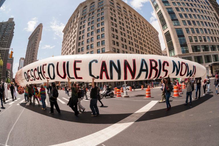 Decriminalization Vs Legalization: What's The Difference?