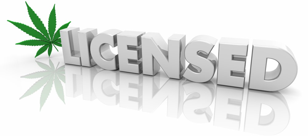 marijuana business license