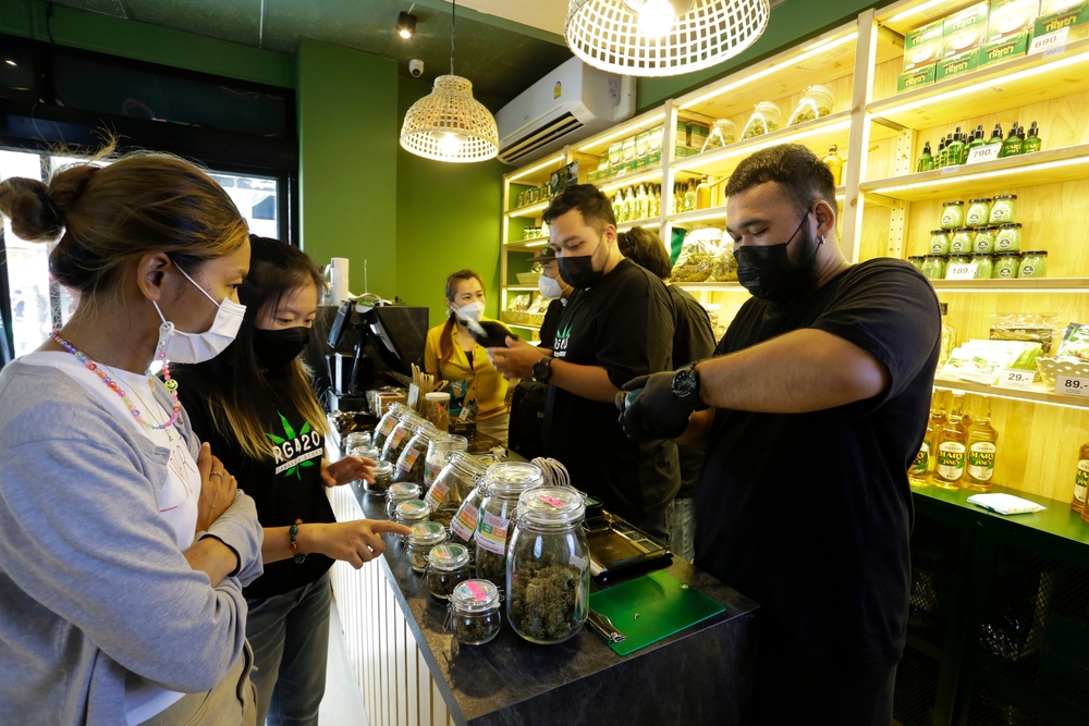 marijuana dispensary and bud tenders