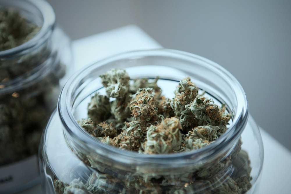 marijuana stored in glass jars